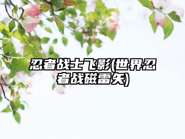 忍者战士飞影(世界忍者战磁雷矢)