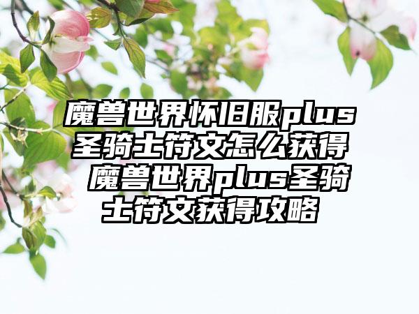 魔兽世界怀旧服plus圣骑士符文怎么获得 魔兽世界plus圣骑士符文获得攻略