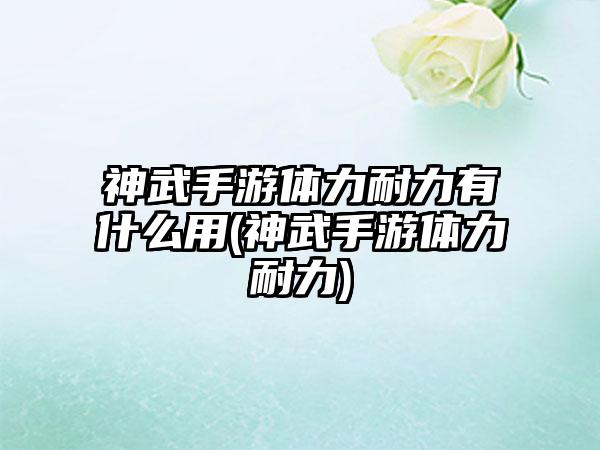 神武手游体力耐力有什么用(神武手游体力耐力)