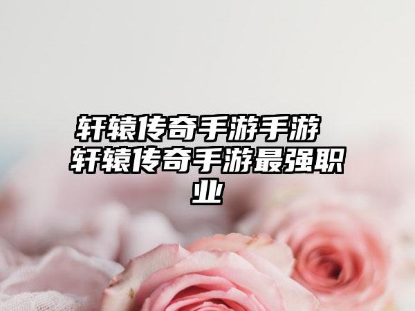 轩辕传奇手游手游 轩辕传奇手游最强职业