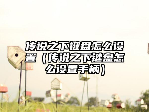 传说之下键盘怎么设置（传说之下键盘怎么设置手柄）