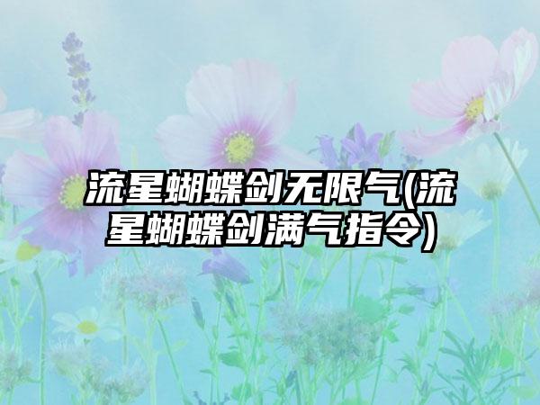 流星蝴蝶剑无限气(流星蝴蝶剑满气指令)