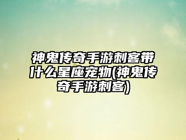 神鬼传奇手游刺客带什么星座宠物(神鬼传奇手游刺客)