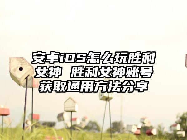 安卓iOS怎么玩胜利女神 胜利女神账号获取通用方法分享