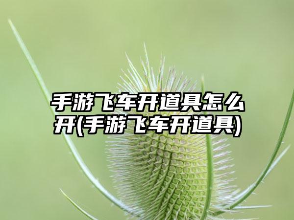 手游飞车开道具怎么开(手游飞车开道具)