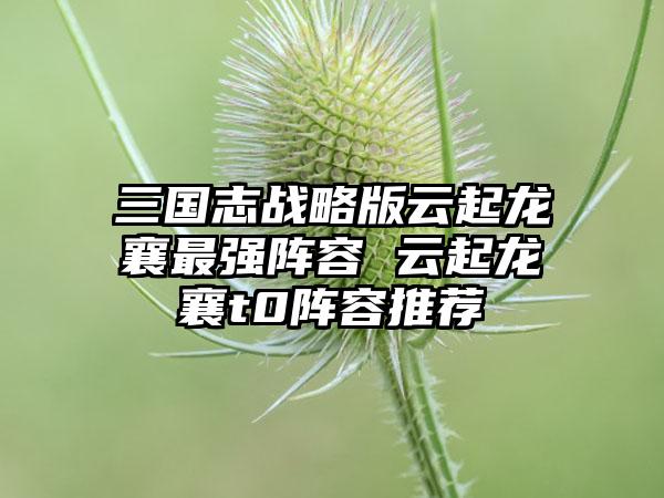三国志战略版云起龙襄最强阵容 云起龙襄t0阵容推荐