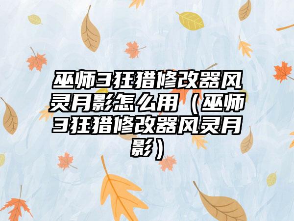 巫师3狂猎修改器风灵月影怎么用（巫师3狂猎修改器风灵月影）