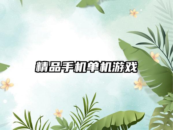 精品手机单机游戏