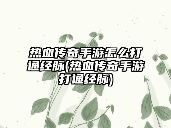热血传奇手游怎么打通经脉(热血传奇手游打通经脉)