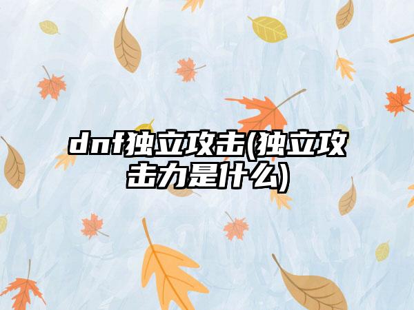 dnf独立攻击(独立攻击力是什么)
