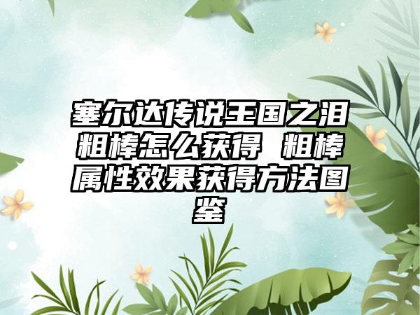 塞尔达传说王国之泪粗棒怎么获得 粗棒属性效果获得方法图鉴