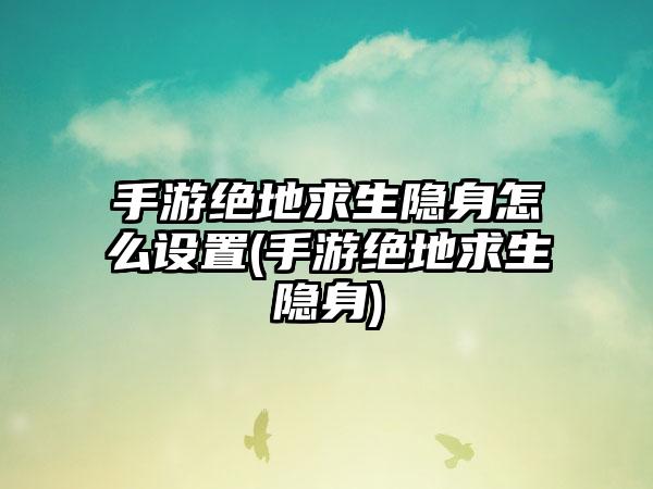 手游绝地求生隐身怎么设置(手游绝地求生隐身)