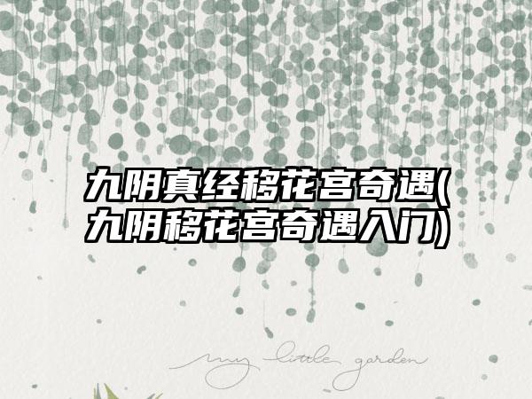 九阴真经移花宫奇遇(九阴移花宫奇遇入门)