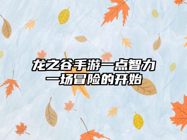 龙之谷手游一点智力一场冒险的开始