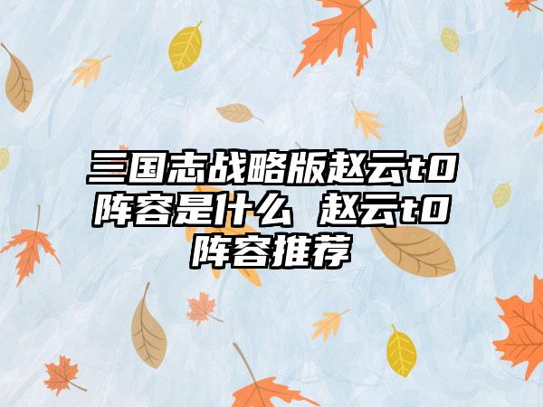 三国志战略版赵云t0阵容是什么 赵云t0阵容推荐