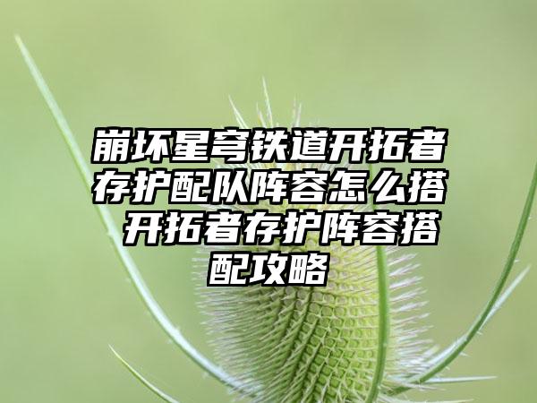 崩坏星穹铁道开拓者存护配队阵容怎么搭 开拓者存护阵容搭配攻略