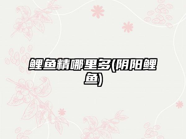 鲤鱼精哪里多(阴阳鲤鱼)