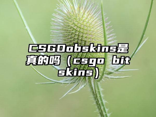 CSGOobskins是真的吗（csgo bitskins）