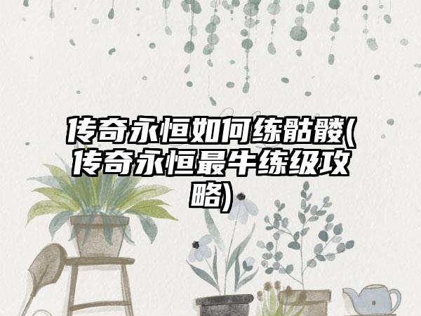 传奇永恒如何练骷髅(传奇永恒最牛练级攻略)