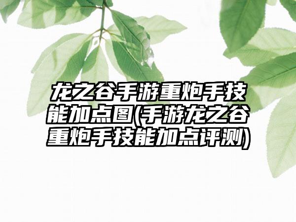 龙之谷手游重炮手技能加点图(手游龙之谷重炮手技能加点评测)