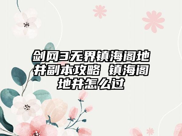 剑网3无界镇海阁地井副本攻略 镇海阁地井怎么过
