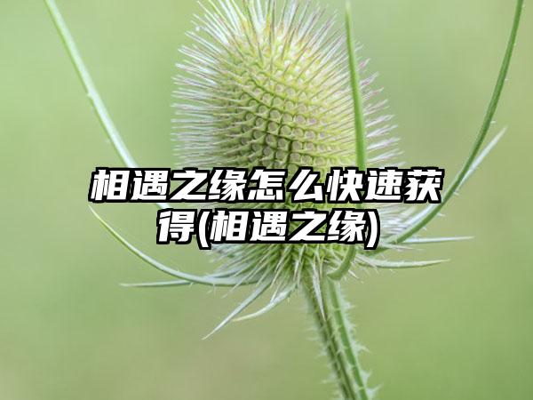 相遇之缘怎么快速获得(相遇之缘)