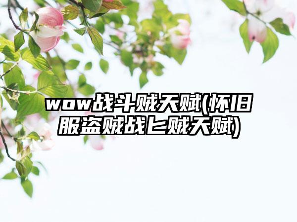 wow战斗贼天赋(怀旧服盗贼战匕贼天赋)