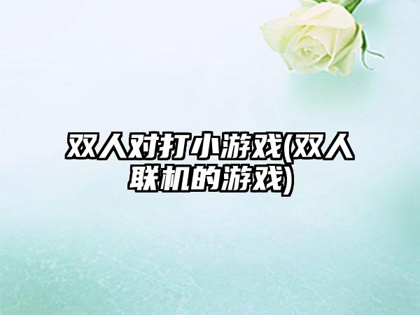 双人对打小游戏(双人联机的游戏)