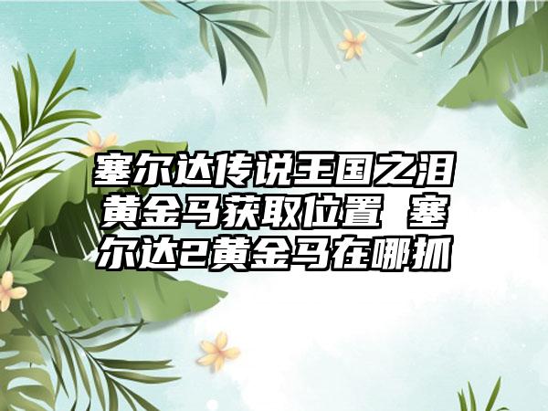 塞尔达传说王国之泪黄金马获取位置 塞尔达2黄金马在哪抓