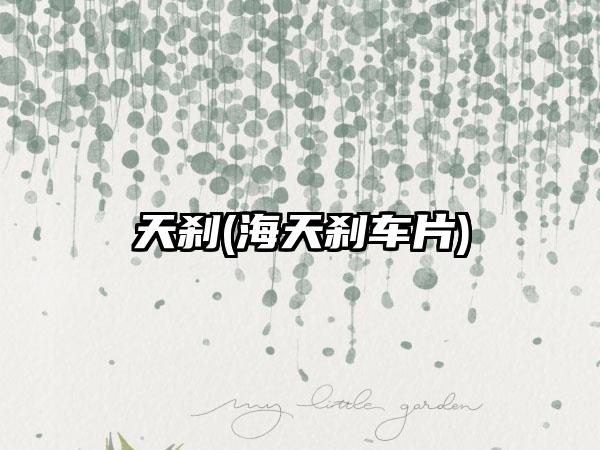 天刹(海天刹车片)
