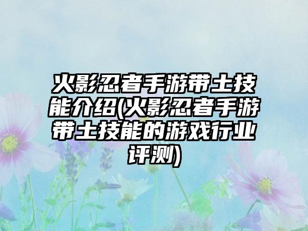 火影忍者手游带土技能介绍(火影忍者手游带土技能的游戏行业评测)