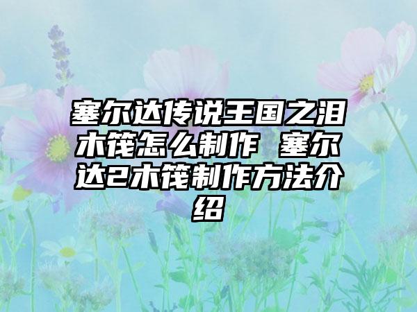 塞尔达传说王国之泪木筏怎么制作 塞尔达2木筏制作方法介绍