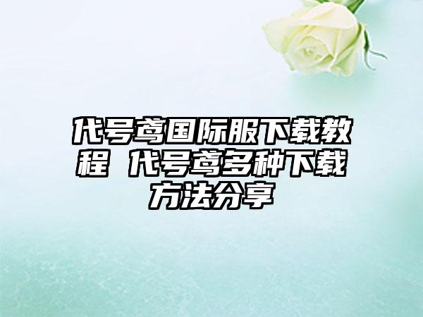 代号鸢国际服下载教程 代号鸢多种下载方法分享