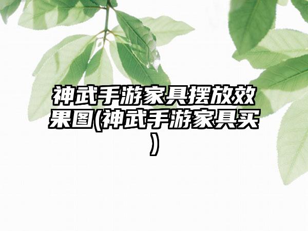 神武手游家具摆放效果图(神武手游家具买)
