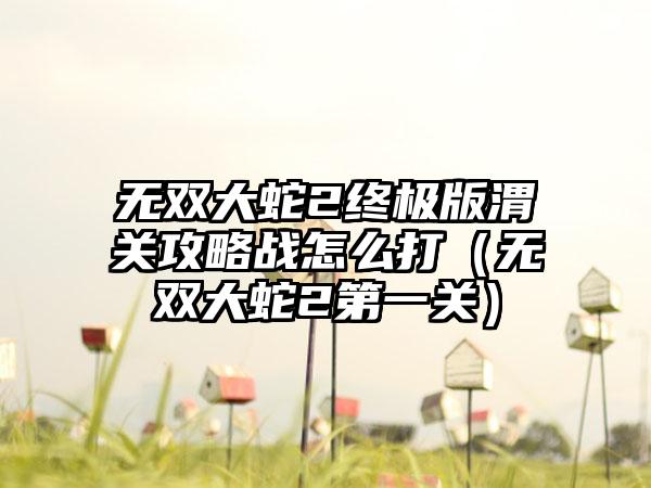 无双大蛇2终极版渭关攻略战怎么打（无双大蛇2第一关）