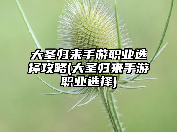 大圣归来手游职业选择攻略(大圣归来手游职业选择)