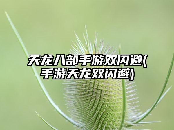 天龙八部手游双闪避(手游天龙双闪避)
