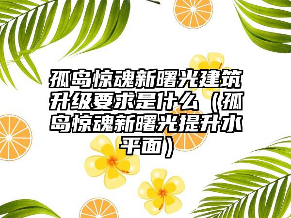 孤岛惊魂新曙光建筑升级要求是什么（孤岛惊魂新曙光提升水平面）