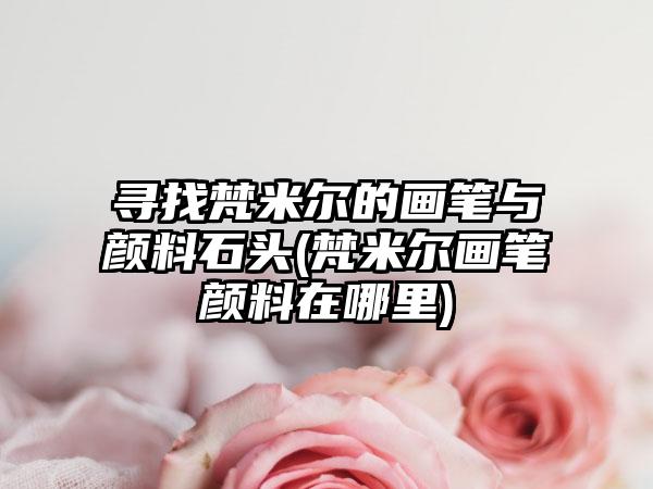 寻找梵米尔的画笔与颜料石头(梵米尔画笔颜料在哪里)