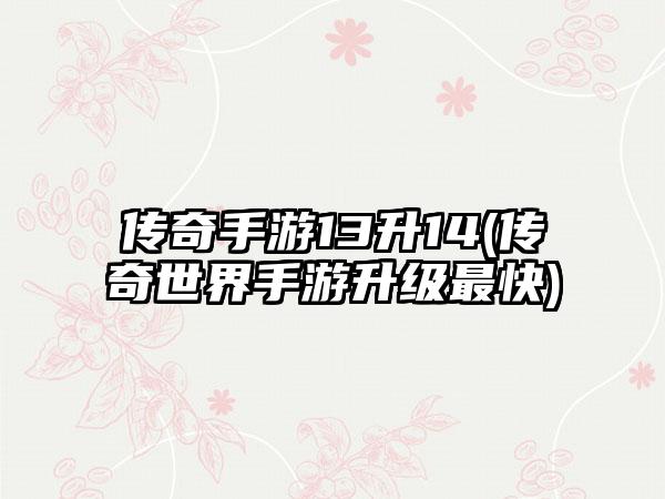 传奇手游13升14(传奇世界手游升级最快)