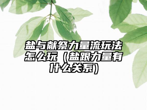 盐与献祭力量流玩法怎么玩（盐跟力量有什么关系）