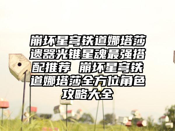 崩坏星穹铁道娜塔莎遗器光锥星魂最强搭配推荐 崩坏星穹铁道娜塔莎全方位角色攻略大全