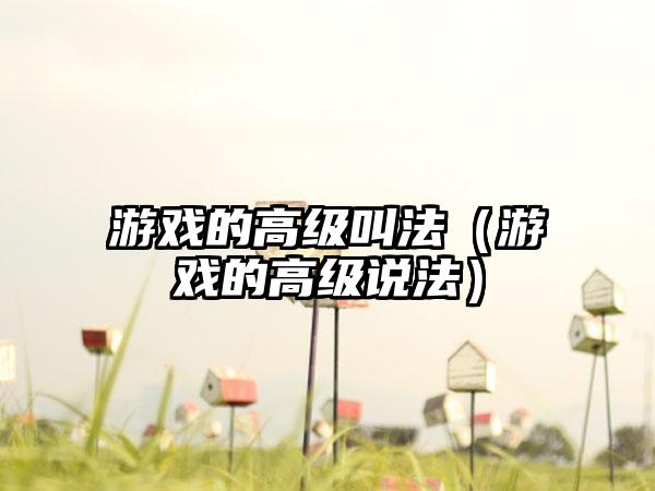 游戏的高级叫法（游戏的高级说法）