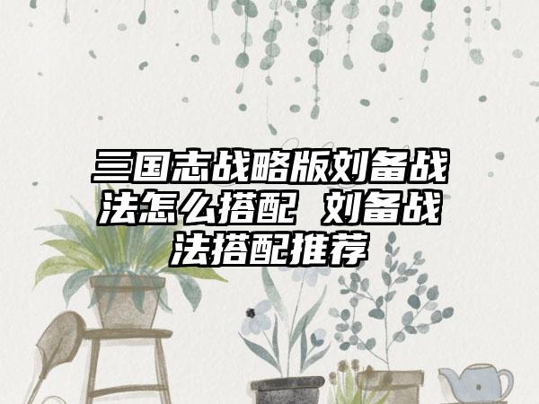 三国志战略版刘备战法怎么搭配 刘备战法搭配推荐