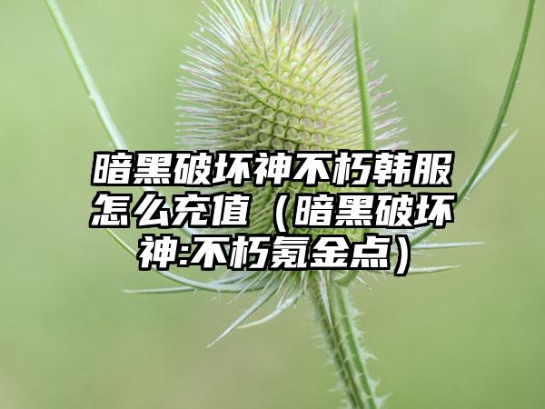 暗黑破坏神不朽韩服怎么充值（暗黑破坏神:不朽氪金点）