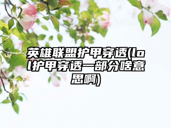 英雄联盟护甲穿透(lol护甲穿透一部分啥意思啊)