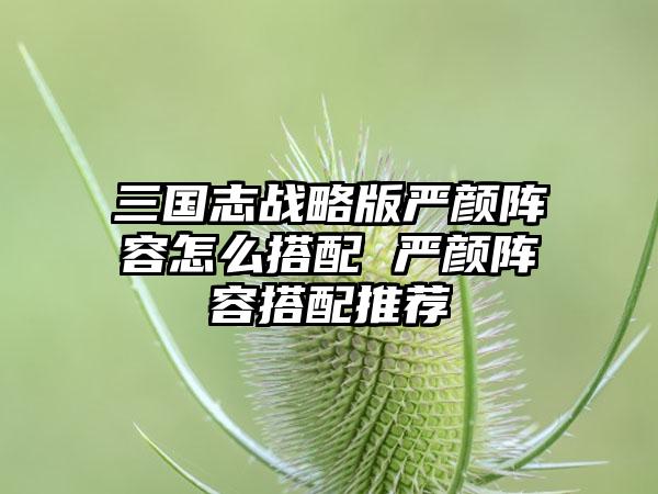 三国志战略版严颜阵容怎么搭配 严颜阵容搭配推荐