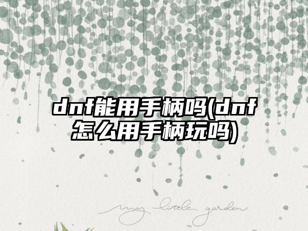 dnf能用手柄吗(dnf怎么用手柄玩吗)