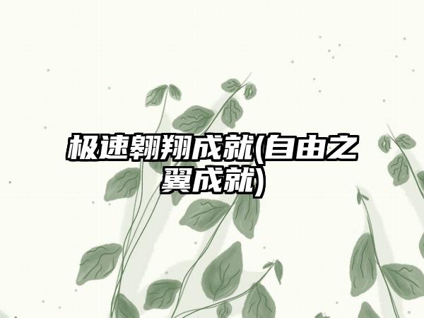 极速翱翔成就(自由之翼成就)
