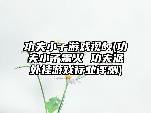 功夫小子游戏视频(功夫小子霜火 功夫派外挂游戏行业评测)